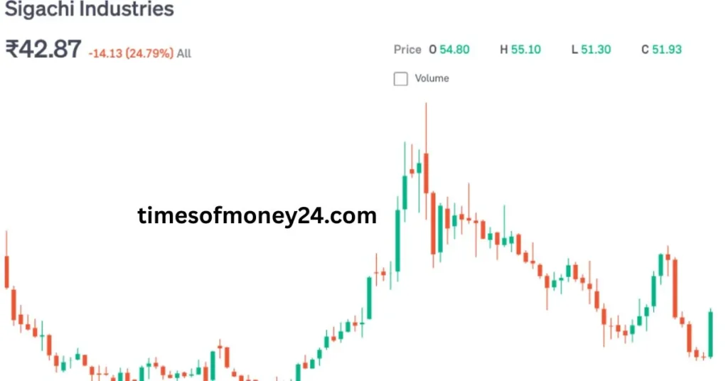 Sigachi-Industries-Share-Price-Target-2025