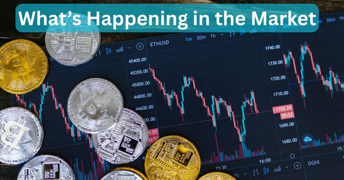 Crypto Crash news today